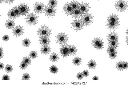 Light colored vector cover with sea urchins. Natural illustration with sea urchins on white background. Abstract design of wildlife for your ad, poster, banner.