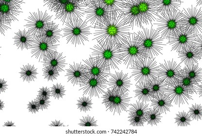 Light colored vector cover with sea urchins. Glitter abstract layout with isolated sea urchins. The pattern can be used for websites of animals.