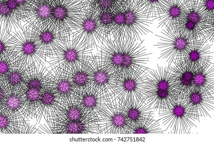 Light colored vector cover with sea urchins. Glitter abstract layout with isolated sea urchins. The pattern can be used for marine leaflets.