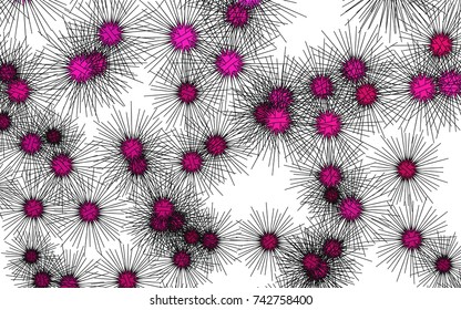 Light colored vector cover with sea urchins. Glitter abstract layout with isolated sea urchins. Abstract nature design for your business advert.