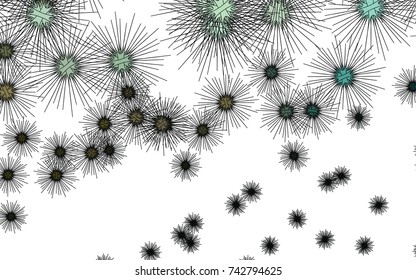 Light colored vector cover with sea urchins. Shining illustration of colored sea urchins on white background. Abstract nature design for your business advert.