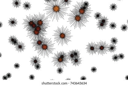 Light colored vector cover with sea urchins. Glitter abstract layout with isolated sea urchins. The pattern can be used for websites of animals.