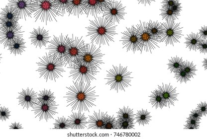 Light colored vector cover with sea urchins. Glitter abstract layout with isolated sea urchins. The pattern can be used for websites of animals.