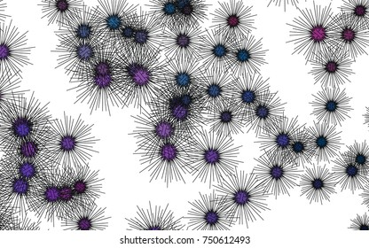 Light colored vector cover with sea urchins. Glitter abstract layout with isolated sea urchins. The pattern can be used for wildlife ad, booklets.