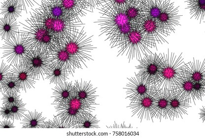 Light colored vector cover with sea urchins. Modern geometrical abstract illustration with sea urchins. The pattern can be used for wildlife ad, booklets.
