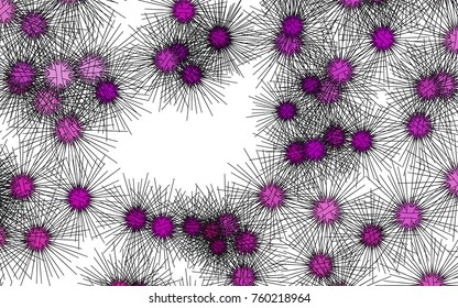 Light colored vector cover with sea urchins. Natural illustration with sea urchins on white background. The pattern can be used for wildlife ad, booklets.