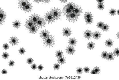 Light colored vector cover with sea urchins. Shining illustration of colored sea urchins on white background. The pattern can be used for wildlife ad, booklets.