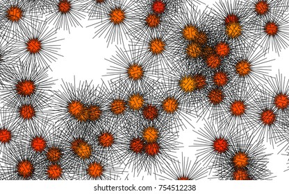 Light colored vector layout with sea urchins. Natural illustration with sea urchins on white background. The pattern can be used for marine leaflets.