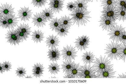 Light colored vector template with sea urchins. Shining illustration of colored sea urchins on white background. The pattern can be used for marine leaflets.