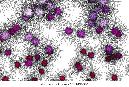 Light colored vector template with sea urchins. Shining illustration of colored sea urchins on white background. The pattern can be used for websites of animals.