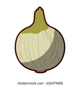 light colors of onion in closeup with thick contour vector illustration
