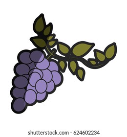 light coloured silhouette of bunch of grapes with branch and leaves with half shadow vector illustration