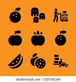 light, commerce, nature and snack icon set. Vector illustration for web and design.