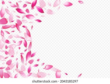 Light Confetti Vector Transparent Background. Petal Air Texture. Rosa Invitation Pattern. Cherry Japan Illustration. Bright Leaf Sky Congratulation.