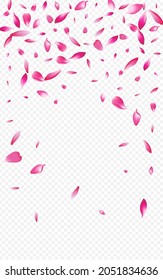 Light Confetti Vector Transparent Background. Flower Free Congratulation. Blooming Air Cover. Peach Sky Poster. White Blossom Romance Template.