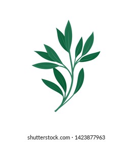 Light curved stem with leaves. Vector illustration on white background.