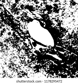 Light Distressed Background. Ink Print Distress Background. Grunge Texture. Vector.