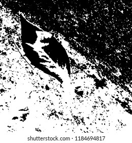 Light Distressed Background. Ink Print Distress Background. Grunge Texture. Vector.