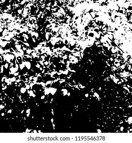 Light Distressed Background. Ink Print Distress Background. Grunge Texture. Vector.