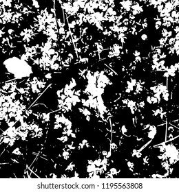 Light Distressed Background. Ink Print Distress Background. Grunge Texture. Vector.