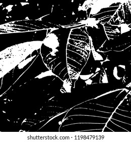 Light Distressed Background. Ink Print Distress Background. Grunge Texture. Vector.