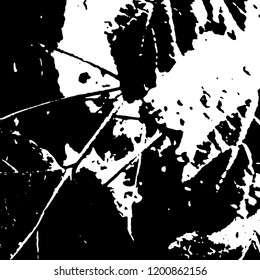 Light Distressed Background. Ink Print Distress Background. Grunge Texture. Vector.