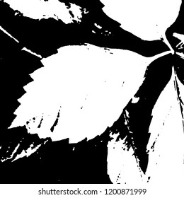 Light Distressed Background. Ink Print Distress Background. Grunge Texture. Vector.