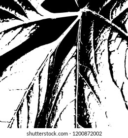 Light Distressed Background. Ink Print Distress Background. Grunge Texture. Vector.