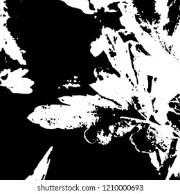 Light Distressed Background. Ink Print Distress Background. Grunge Texture. Vector.