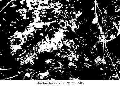 Light Distressed Background. Ink Print Distress Background. Grunge Texture. Vector.