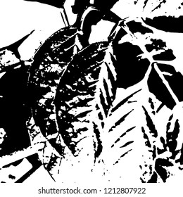 Light Distressed Background. Ink Print Distress Background. Grunge Texture. Vector.