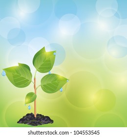 Light eco background blue - green with fresh plant and water drops, place for text, vector illustration