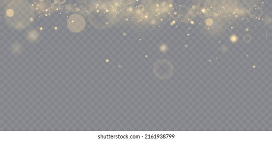 light effect. Background of sparkling particles. Shiny elements on a transparent background.Christmas dust.