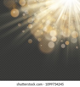 Light effect with glitter, sequins. Shining rays with bokeh. Sun particles and sparks with a highlight. EPS 10 vector file