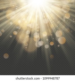 Light effect with glitter, sequins. Shining rays with bokeh. Sun particles and sparks with a highlight. EPS 10