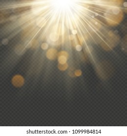 Light effect with glitter, sequins. Shining rays with bokeh. Sun particles and sparks with a highlight. EPS 10