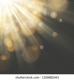 Light effect with glitter, sequins. Shining rays with bokeh. Sun particles and sparks with a highlight. EPS 10