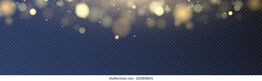 Light effect with lots of glittery glare particles shining on a transparent background.	
