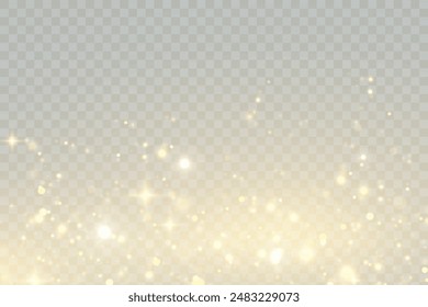 Light effect with lots of glittery glare particles shining on a transparent background.