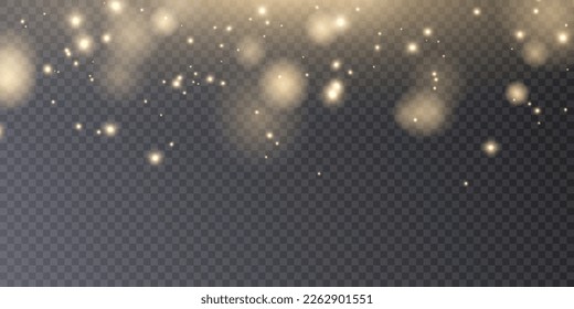 Light effect with lots of glittery highlights shining on transparent background for christmas new year design.
Bokeh light lights effect background from glowing dust glowing bokeh confetti and sparkle