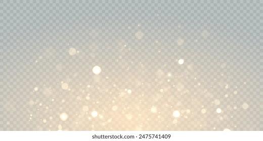 Light effect with lots of glittery highlights, bokeh effect shining on transparent background for christmas new year design. And illustrations. Vector