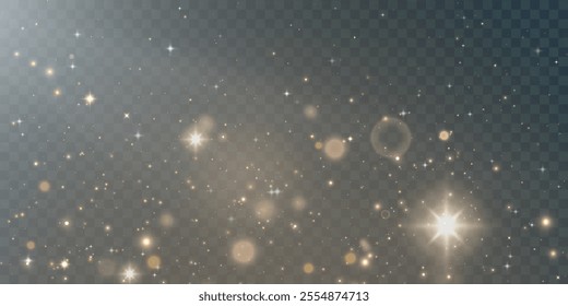 Light effect with lots of sparkling highlights and glitter on transparent background. Colorful bokeh and shiny background.	
