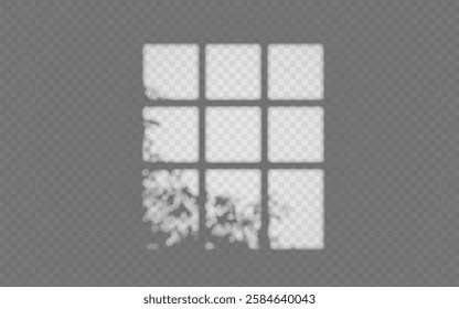 Light effect shadow overlay from window frame with tree branch isolated transparent background.