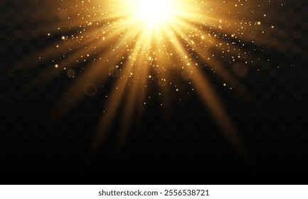 Light effect of light with sun glare. Sun rays bokeh and shimmering dust specks of light. Golden highlights. Vector illustration . 