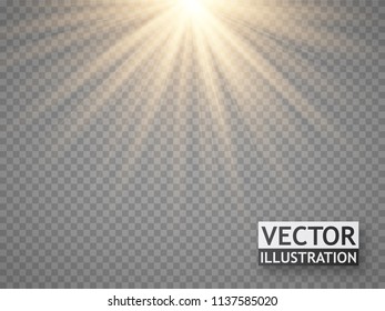 light effect. Warm sun beams isolated on transparent background. Golden rays of light