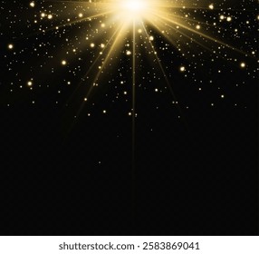 Light effects, glare, glitter, explosion, golden light, Vector illustration. shining golden stars.