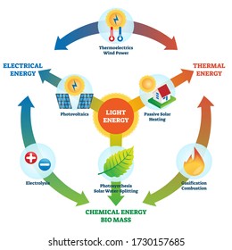 Light energy vector illustration. Labeled power usage types collection scheme. Electrical, thermal, chemical and bio mass energy cycle with electrolysis, gasification, photosynthesis and solar heat.