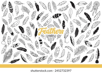 Light feathers of different birds for decorating clothes or using instead of ink pen. Set of beautiful feathers floating in air and amulets made from plumage of wild fowl. Hand drawn doodle