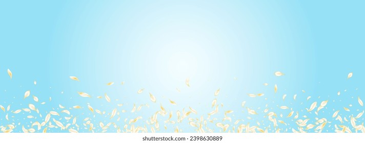 Light Floral Japan Vector Panoramic Blue Background. Beige Summer Blossom Banner. Gold Flower Blur Cover. White Rose Fly Backdrop. Spring Peach Design.
