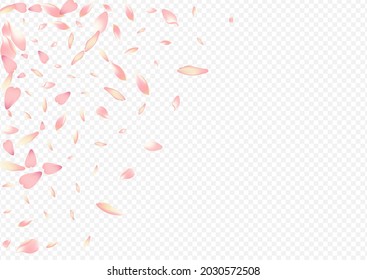 Light Floral Vector Transparent Background. Peach Down Banner. Leaf Romantic Card. Cherry Spa Cover. Pink Apple Invitation Template.